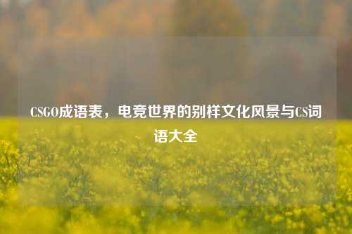 CSGO成语表，电竞世界的别样文化风景与CS词语大全