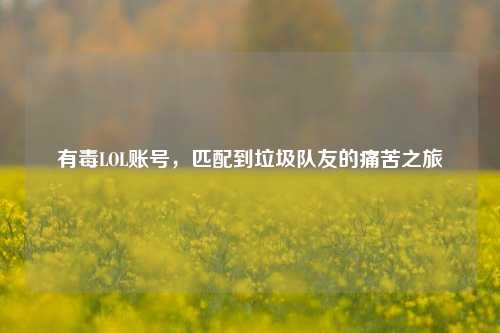 有毒LOL账号,匹配到垃圾队友的痛苦之旅