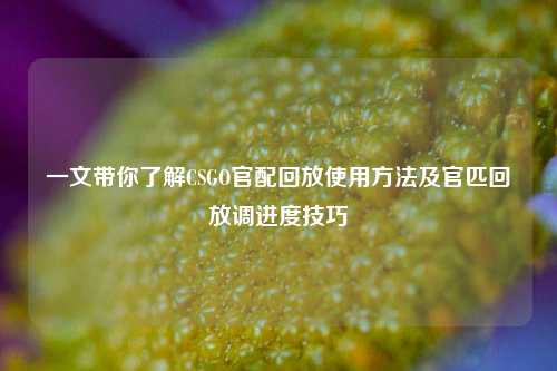 一文带你了解CSGO官配回放使用方法及官匹回放调进度技巧