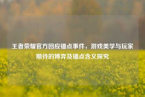 王者荣耀官方回应锚点事件,游戏美学与玩家期待的博弈及锚点含义探究