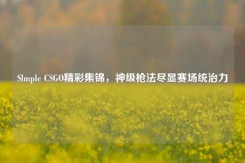 Slmple CSGO精彩集锦，神级枪法尽显赛场统治力