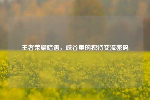 王者荣耀暗语,峡谷里的独特交流密码