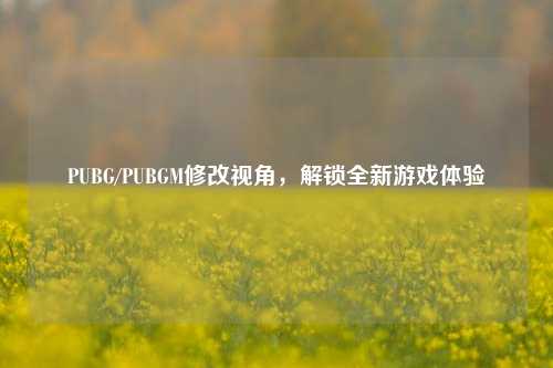 PUBG/PUBGM修改视角，解锁全新游戏体验