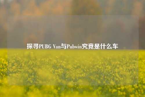 探寻PUBG Van与Pubwin究竟是什么车