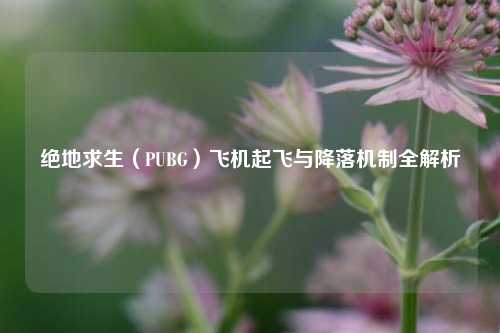 绝地求生(PUBG)飞机起飞与降落机制全解析