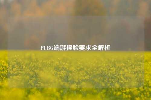PUBG端游捏脸要求全解析