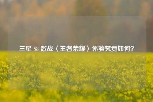 三星 S8 激战〈王者荣耀〉体验究竟如何？