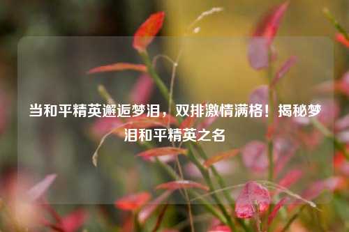 当和平精英邂逅梦泪,双排激情满格!揭秘梦泪和平精英之名