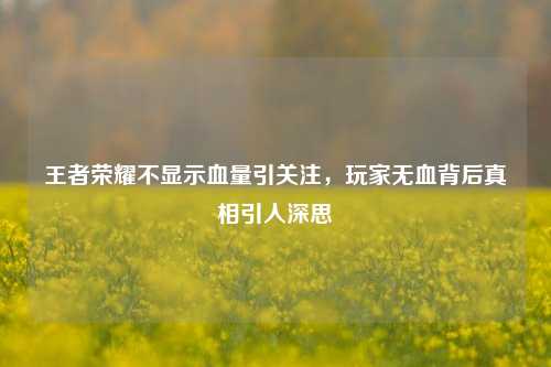 王者荣耀不显示血量引关注，玩家无血背后真相引人深思