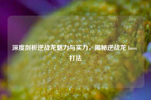 深度剖析逆战龙魅力与实力，揭秘逆战龙 boss 打法