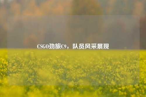 CSGO劲旅C9,队员风采展现