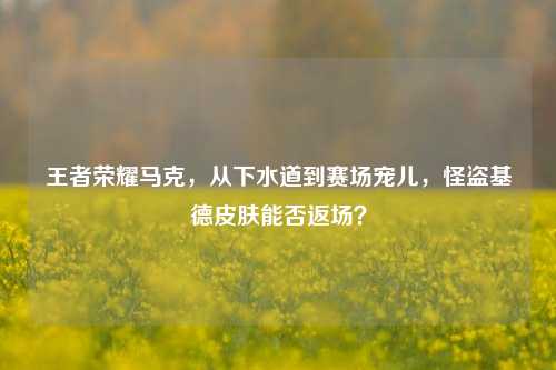 王者荣耀马克，从下水道到赛场宠儿，怪盗基德皮肤能否返场？