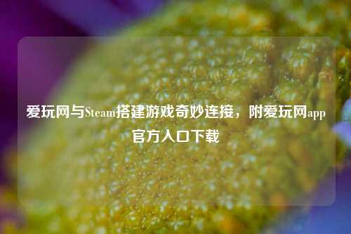 爱玩网与Steam搭建游戏奇妙连接，附爱玩网app官方入口下载