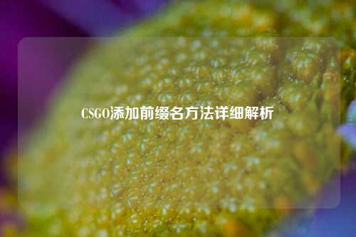 CSGO添加前缀名方法详细解析