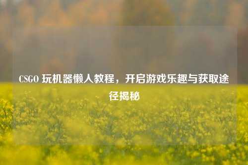 CSGO 玩机器懒人教程，开启游戏乐趣与获取途径揭秘