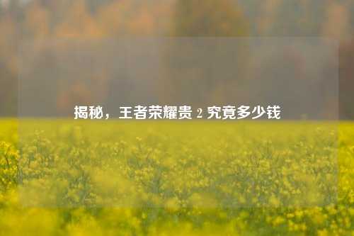 揭秘,王者荣耀贵 2 究竟多少钱