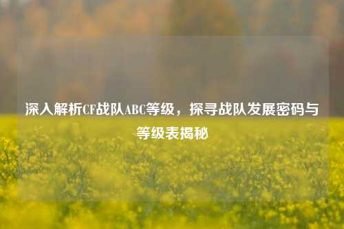 深入解析CF战队ABC等级,探寻战队发展密码与等级表揭秘