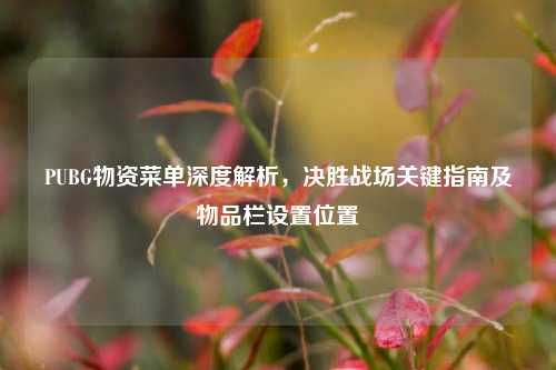 PUBG物资菜单深度解析,决胜战场关键指南及物品栏设置位置