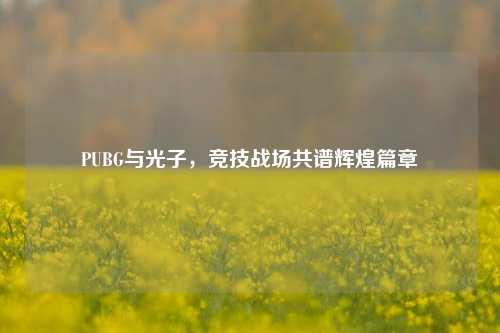 PUBG与光子,竞技战场共谱辉煌篇章
