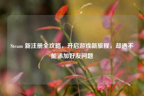 Steam 新注册全攻略，开启游戏新旅程，却遇不能添加好友问题