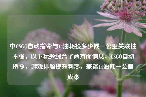 中CSGO自动指令与14油耗投多少钱一公里关联性不强，以下标题综合了两方面信息，CSGO自动指令，游戏体验提升利器，兼谈14油耗一公里成本