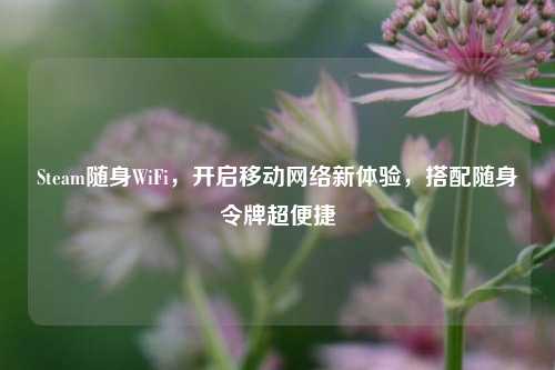 Steam随身WiFi,开启移动网络新体验,搭配随身令牌超便捷