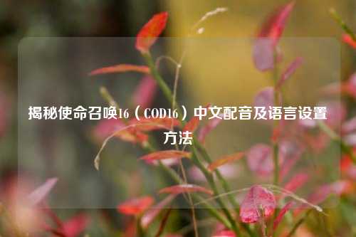 揭秘使命召唤16（COD16）中文配音及语言设置方法