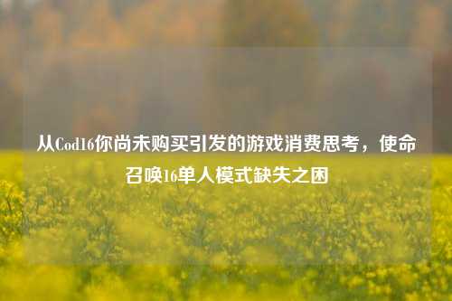 从Cod16你尚未购买引发的游戏消费思考，使命召唤16单人模式缺失之困