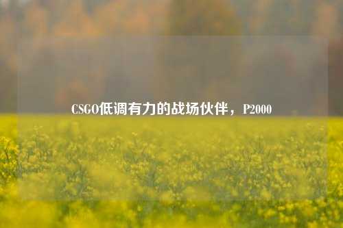 CSGO低调有力的战场伙伴,P2000