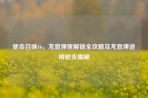 使命召唤16,龙息弹匣解锁全攻略及龙息弹适用枪支揭秘