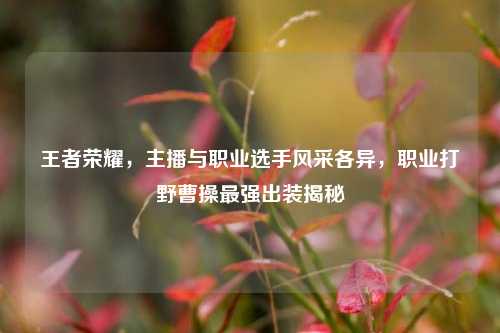 王者荣耀,主播与职业选手风采各异,职业打野曹操最强出装揭秘