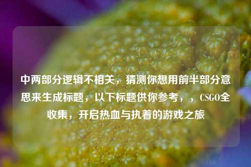 中两部分逻辑不相关，猜测你想用前半部分意思来生成标题，以下标题供你参考，，CSGO全收集，开启热血与执着的游戏之旅