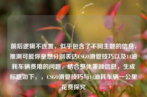前后逻辑不连贯,似乎包含了不同主题的信息,推测可能你是想分别表达CSGO滑管技巧以及14油耗车辆费用的问题,结合整体兼顾信息,生成标题如下,,CSGO滑管技巧与14油耗车辆一公里花费探究