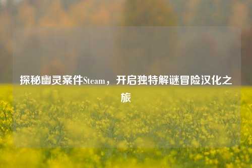 探秘幽灵案件Steam,开启独特解谜冒险汉化之旅