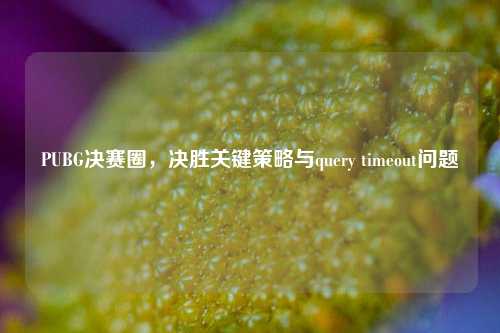 PUBG决赛圈，决胜关键策略与query timeout问题