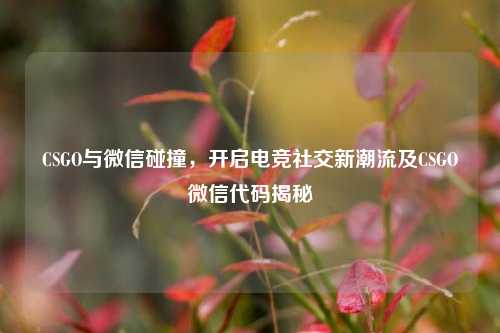 CSGO与微信碰撞,开启电竞社交新潮流及CSGO微信代码揭秘
