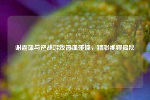 谢霆锋与逆战游戏热血碰撞,精彩视频揭秘