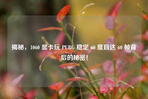 揭秘，1060 显卡玩 PUBG 稳定 60 度且达 60 帧背后的秘密！