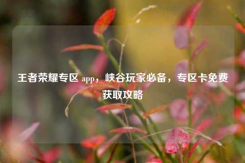 王者荣耀专区 app，峡谷玩家必备，专区卡免费获取攻略