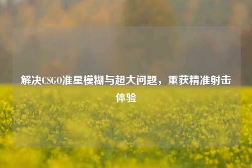解决CSGO准星模糊与超大问题,重获精准射击体验