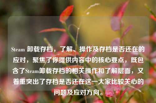 Steam 卸载存档,了解、操作及存档是否还在的应对,聚焦了你提供内容中的核心要点,既包含了Steam卸载存档的相关操作和了解层面,又着重突出了存档是否还在这一大家比较关心的问题及应对方向。