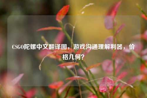 CSGO陀螺中文翻译图，游戏沟通理解利器，价格几何？