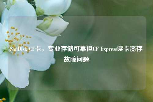 SanDisk CF卡，专业存储可靠但CF Express读卡器存故障问题