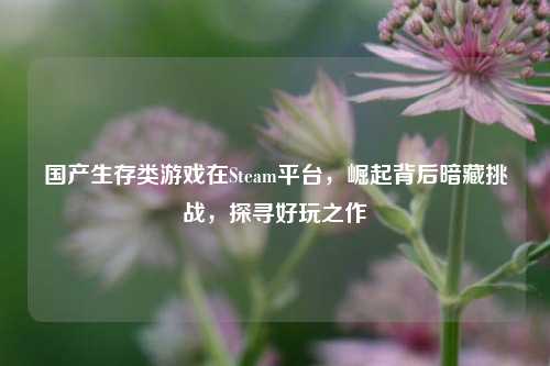 国产生存类游戏在Steam平台，崛起背后暗藏挑战，探寻好玩之作