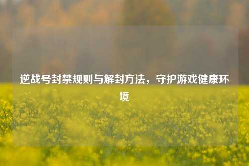 逆战号封禁规则与解封方法,守护游戏健康环境
