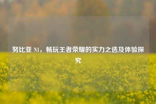 努比亚 N1，畅玩王者荣耀的实力之选及体验探究