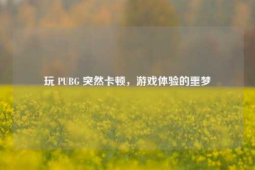 玩 PUBG 突然卡顿，游戏体验的噩梦