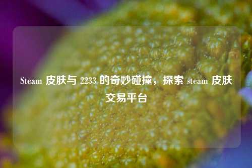 Steam 皮肤与 2233 的奇妙碰撞,探索 steam 皮肤交易平台