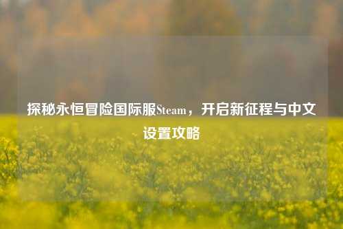 探秘永恒冒险国际服Steam，开启新征程与中文设置攻略
