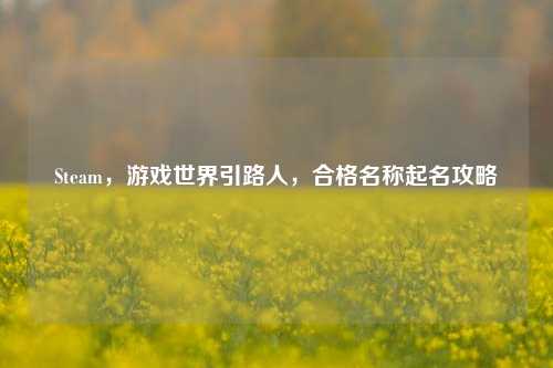 Steam,游戏世界引路人,合格名称起名攻略